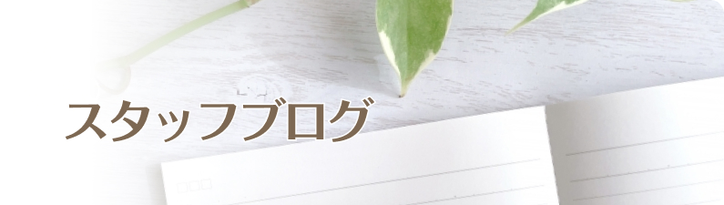 スタッフブログ